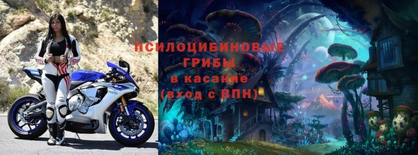 2c-b Богородицк