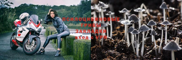 mix Новодвинск