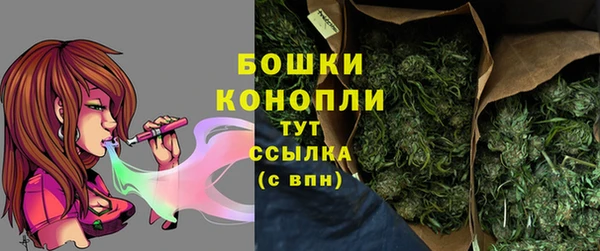 PSILOCYBIN Богданович