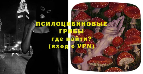 PSILOCYBIN Богданович
