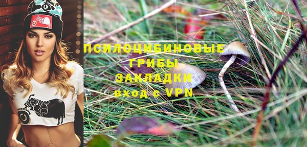 PSILOCYBIN Богданович