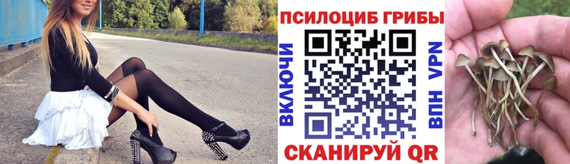 кракен ссылки  Константиновск  Галлюциногенные грибы GOLDEN TEACHER 